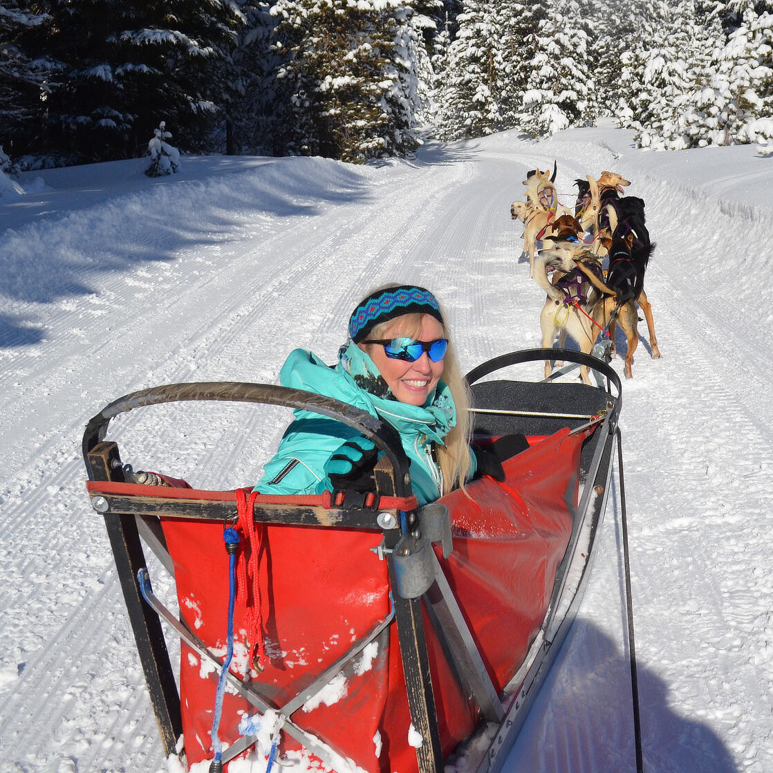 Patti Morrow Dogsleding